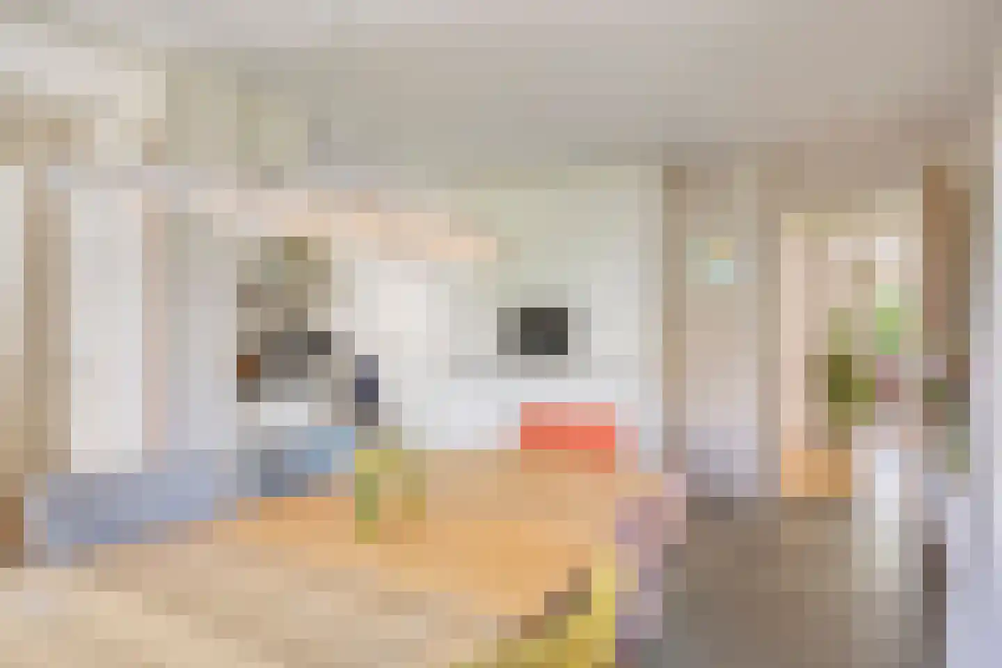 Lange Meentweg 22 Woerdense Verlaat thumbnail 9