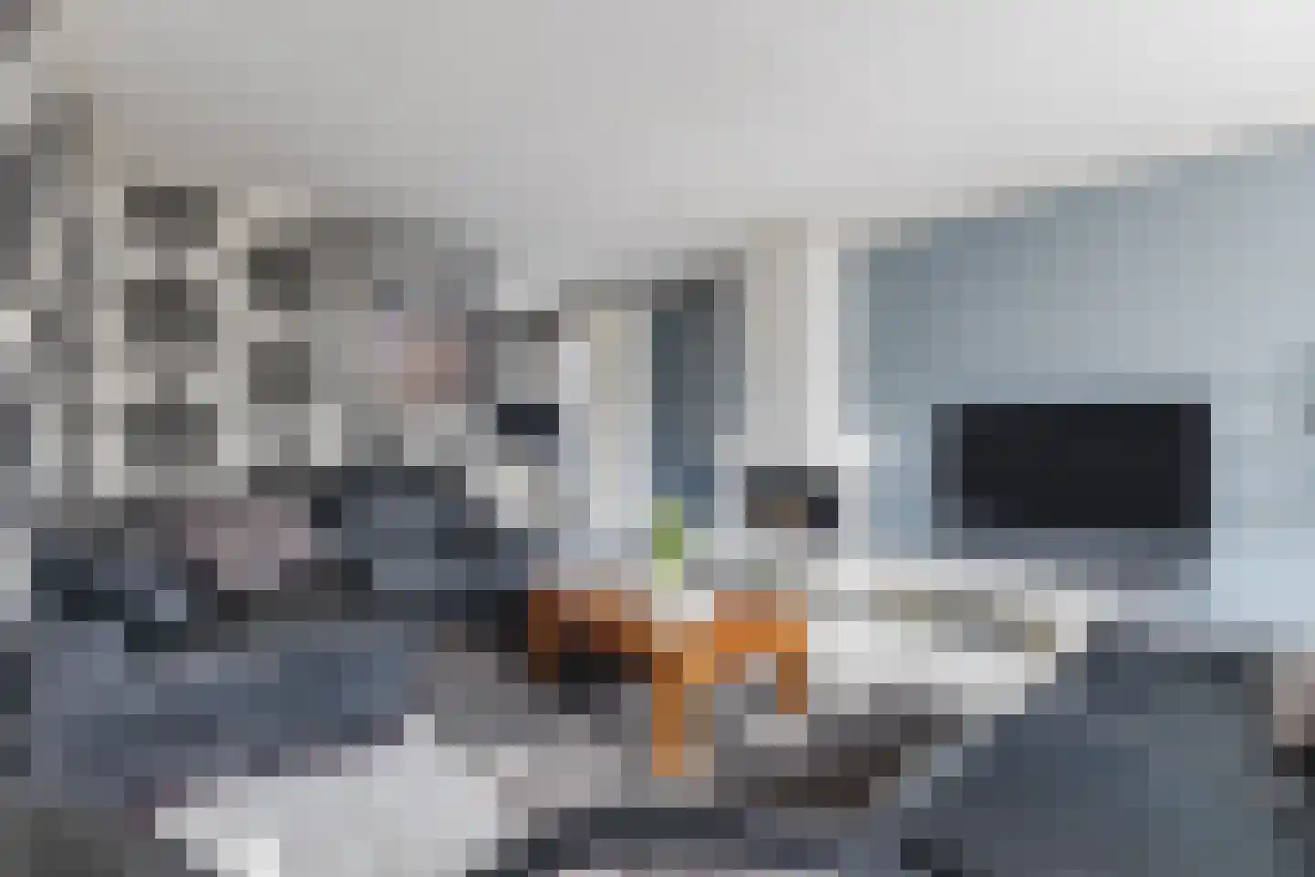 Lange Meer 13 Vinkeveen thumbnail 10