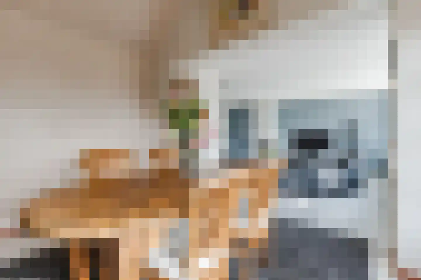 Lange Meer 13 Vinkeveen thumbnail 12