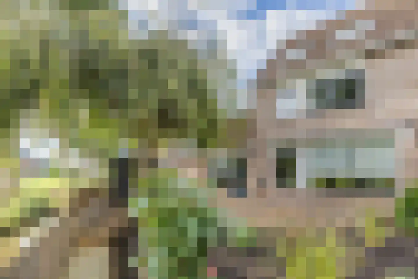 Lange Meer 13 Vinkeveen thumbnail 16