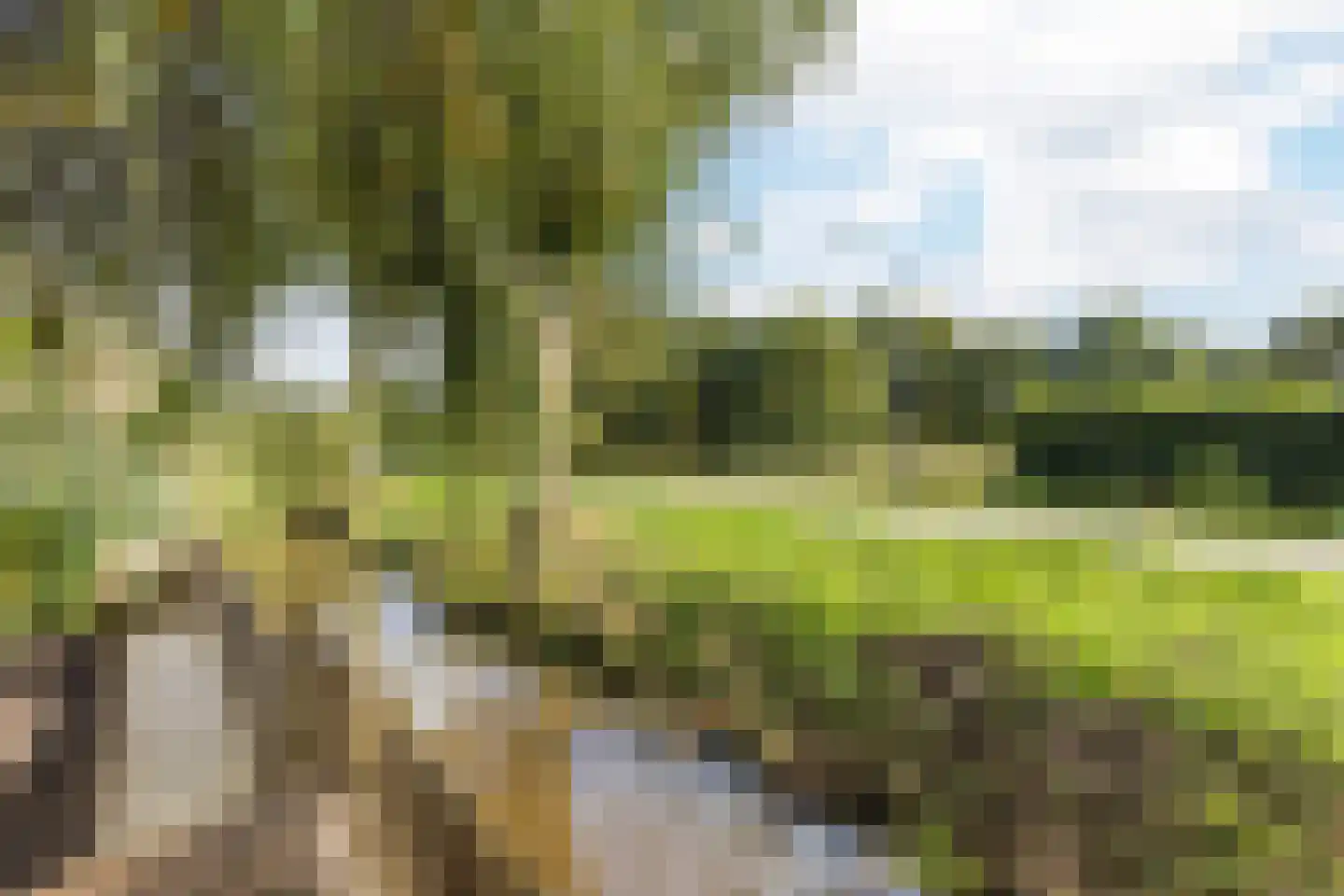 Lange Meer 13 Vinkeveen thumbnail 17
