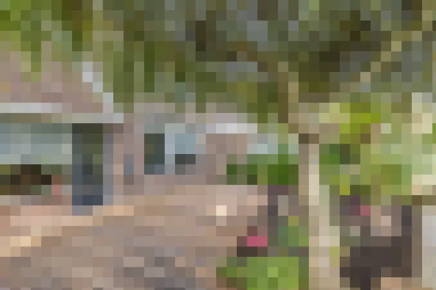 Lange Meer 13 Vinkeveen thumbnail 19