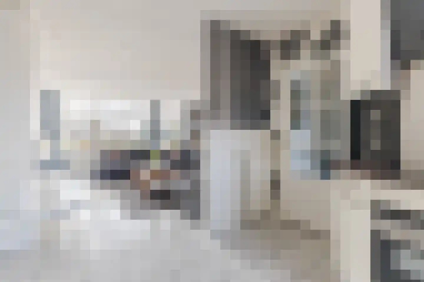 Lange Meer 13 Vinkeveen thumbnail 20