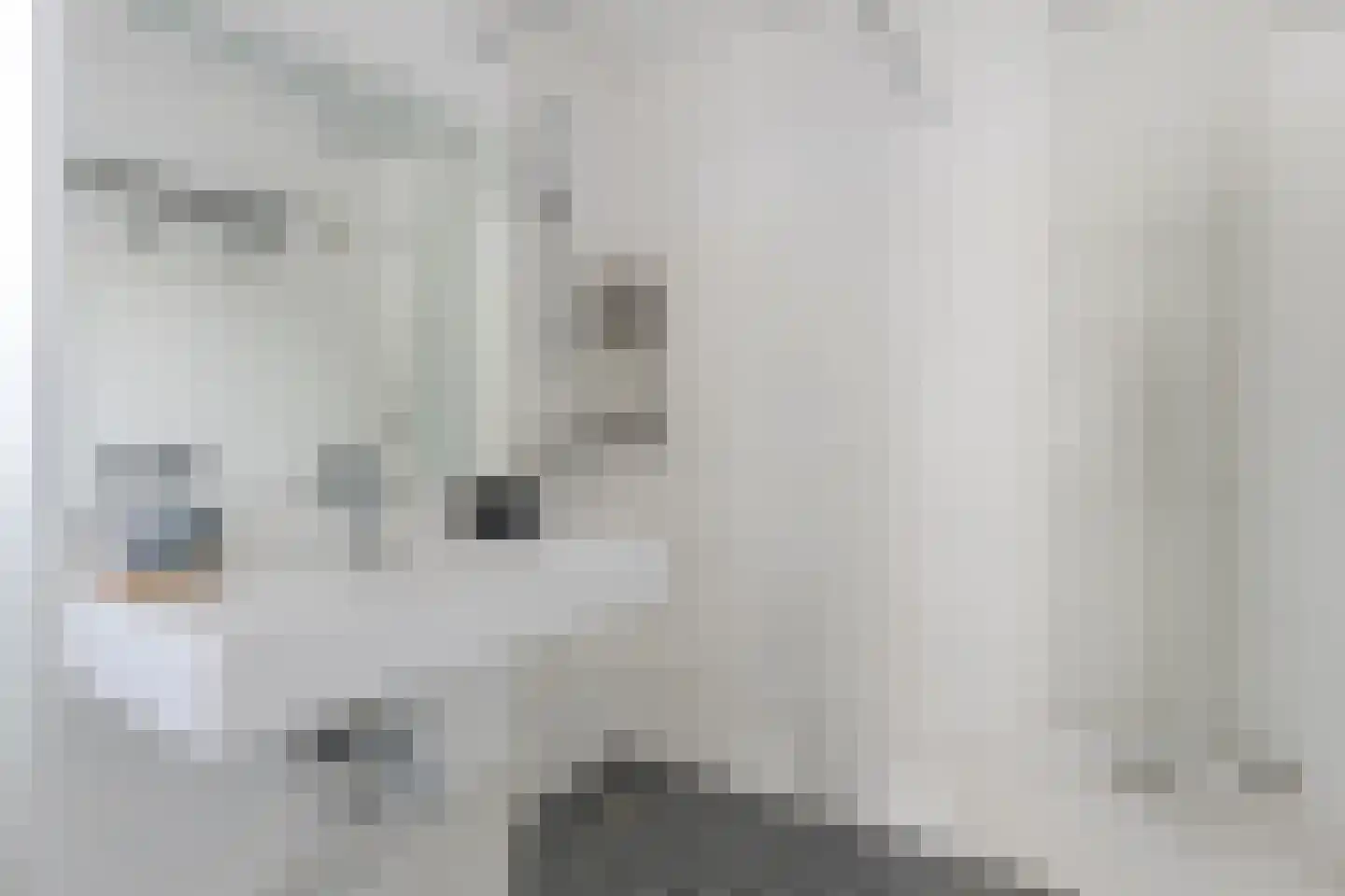 Lange Meer 13 Vinkeveen thumbnail 37