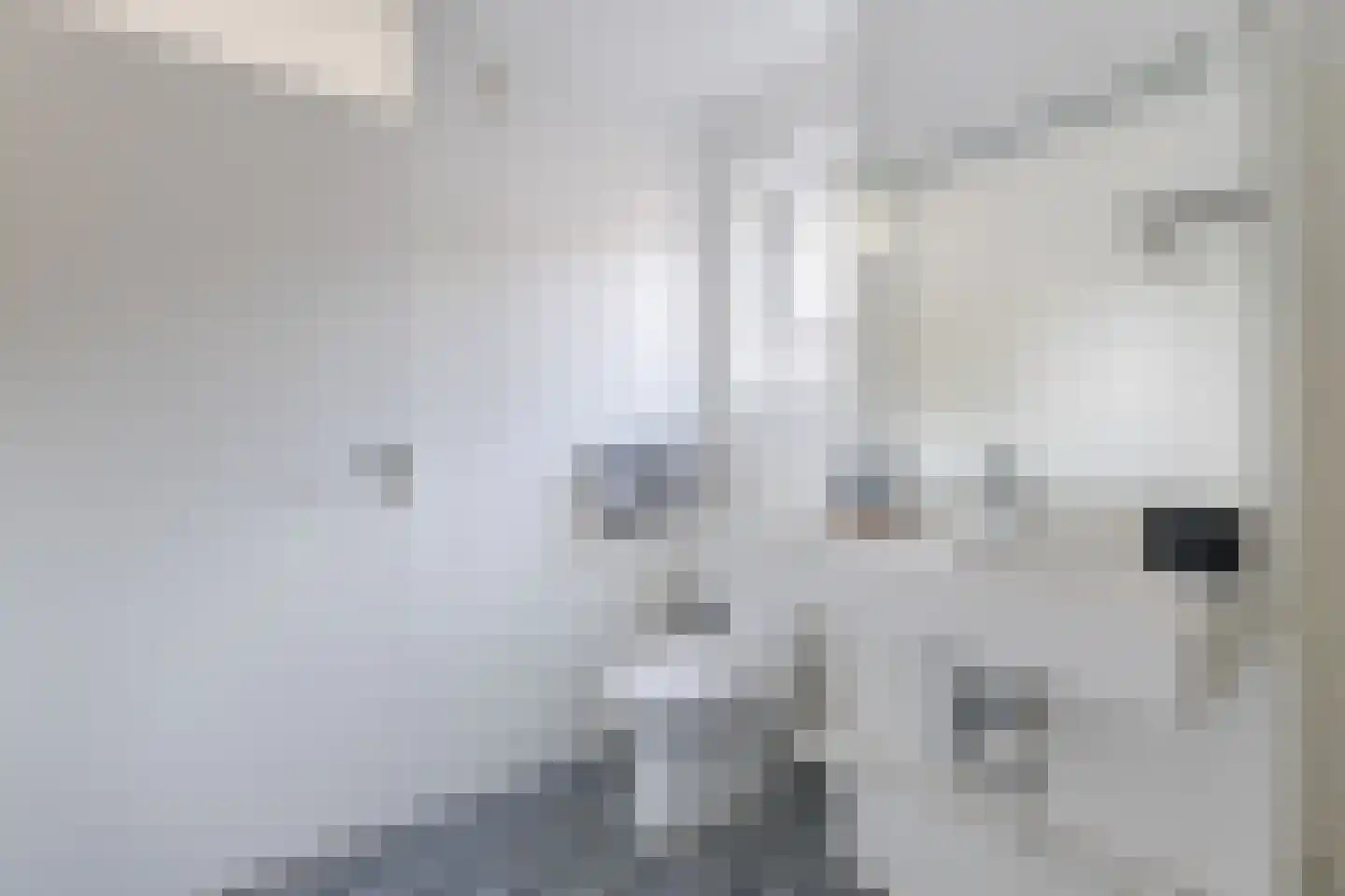 Lange Meer 13 Vinkeveen thumbnail 38