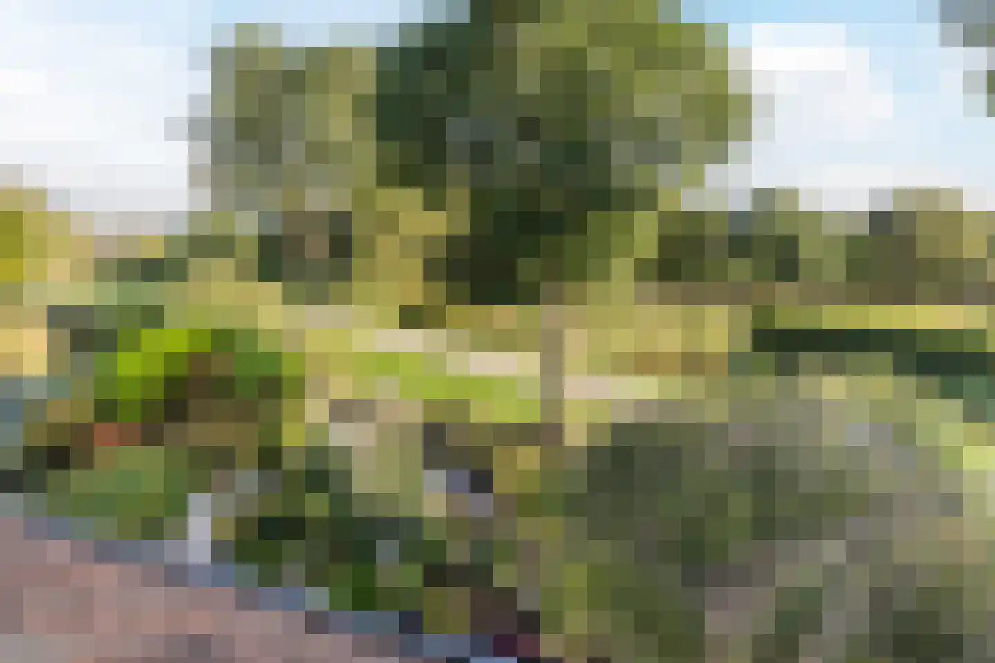Lange Meer 13 Vinkeveen thumbnail 44
