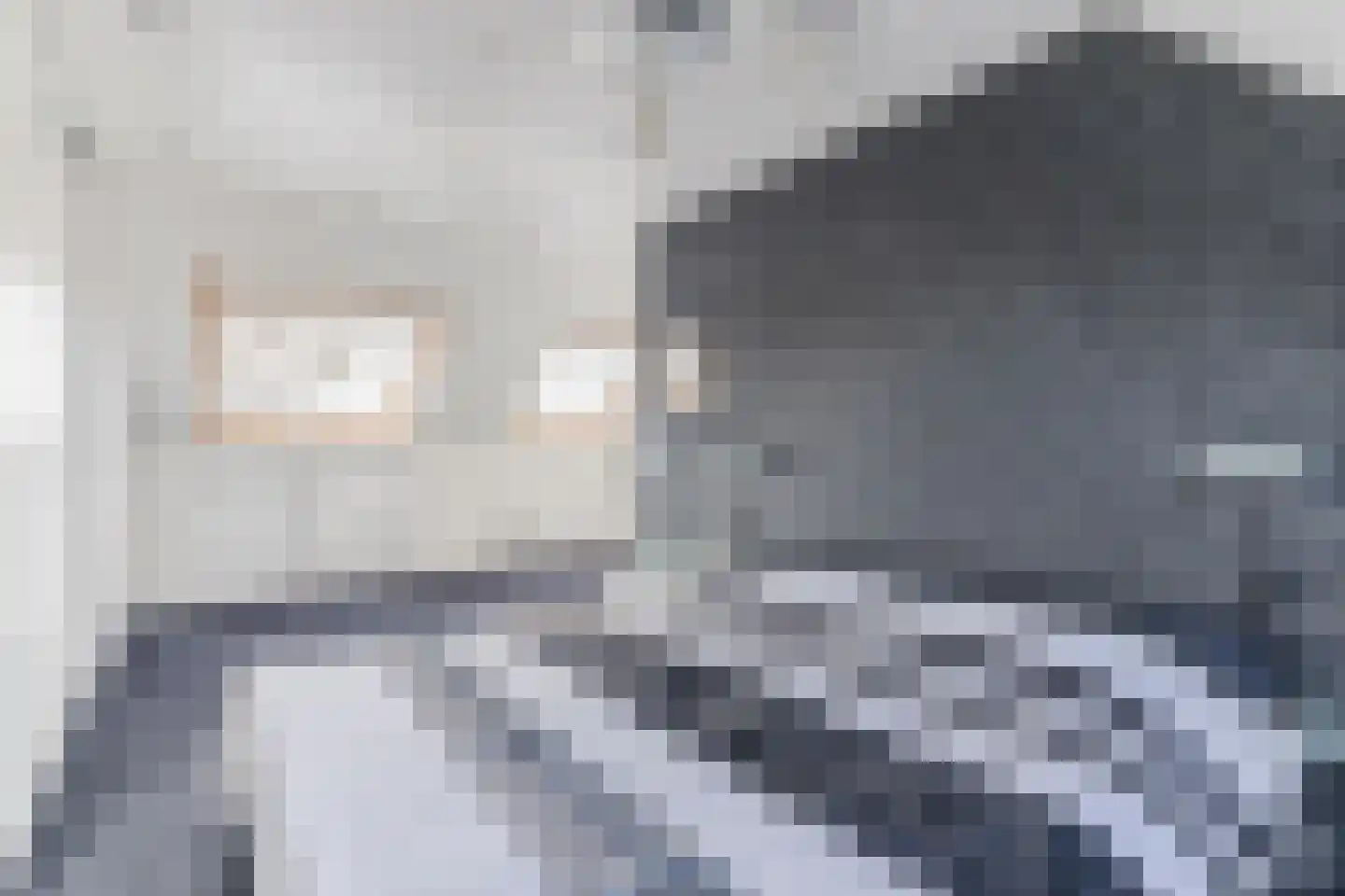 Lange Meer 13 Vinkeveen thumbnail 46