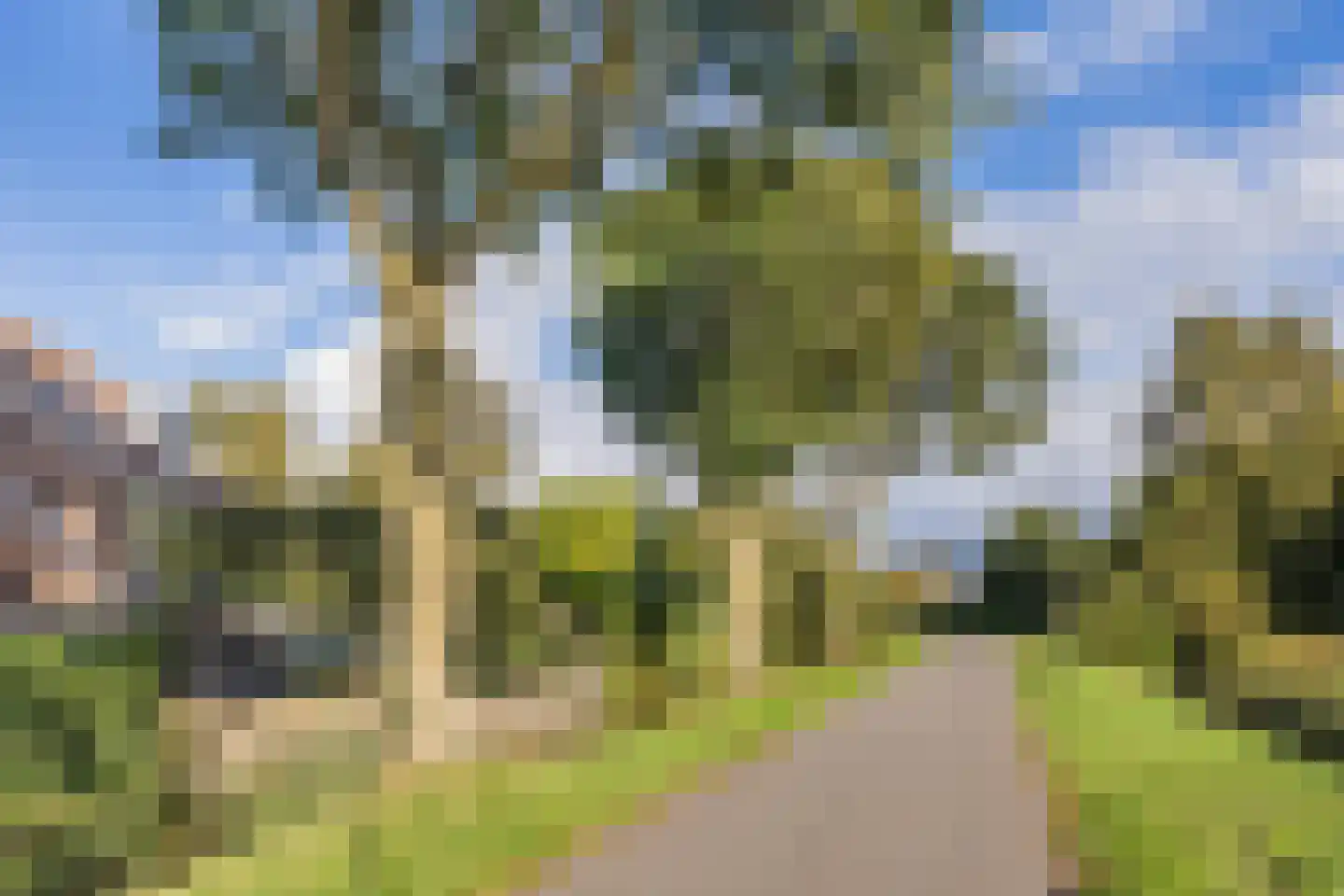 Lange Meer 13 Vinkeveen thumbnail 54