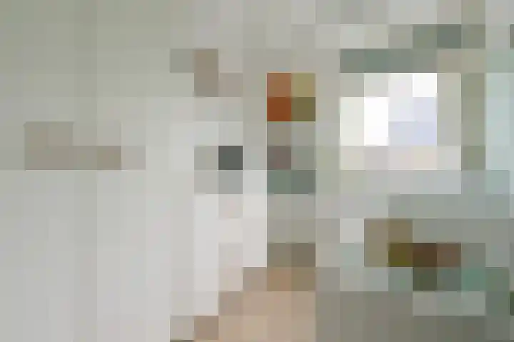 Lange Meer 18 Vinkeveen thumbnail 15