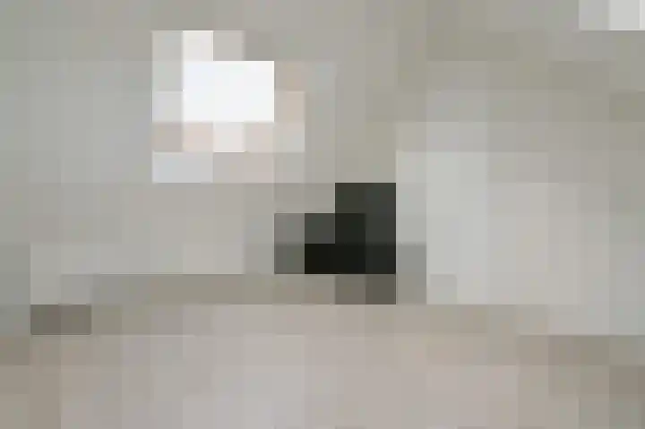 Lange Meer 18 Vinkeveen thumbnail 24