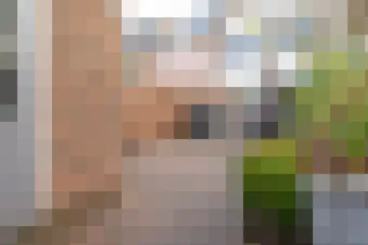 Lange Meer 18 Vinkeveen thumbnail 29