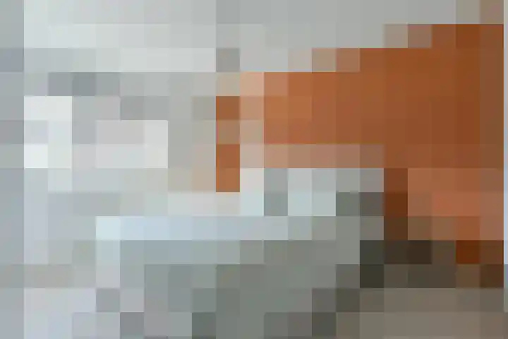 Lange Meer 2 Vinkeveen thumbnail 13