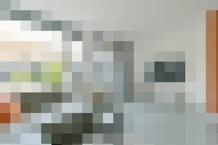 Lange Meer 2 Vinkeveen thumbnail 4