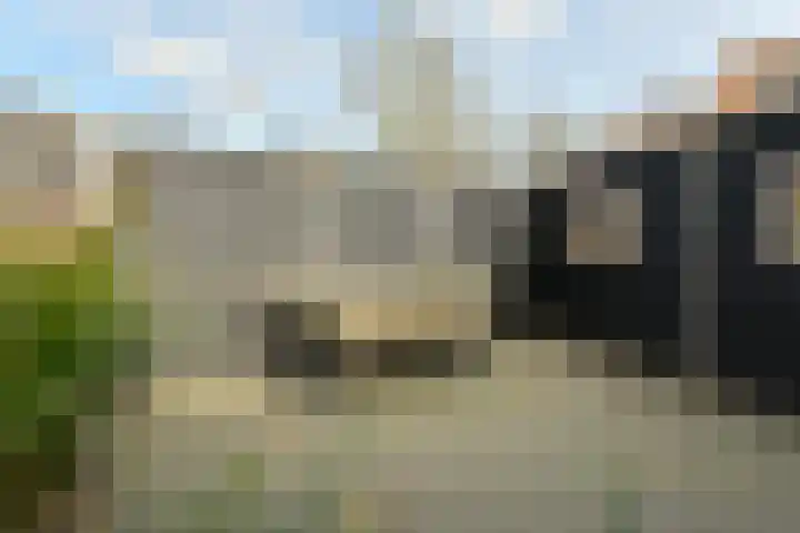 Lange Meer 2 Vinkeveen thumbnail 8