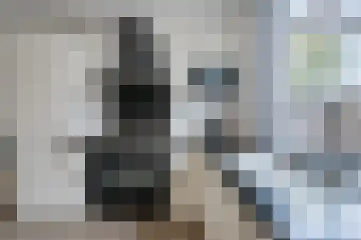 Lange Meer 23 Vinkeveen thumbnail 11