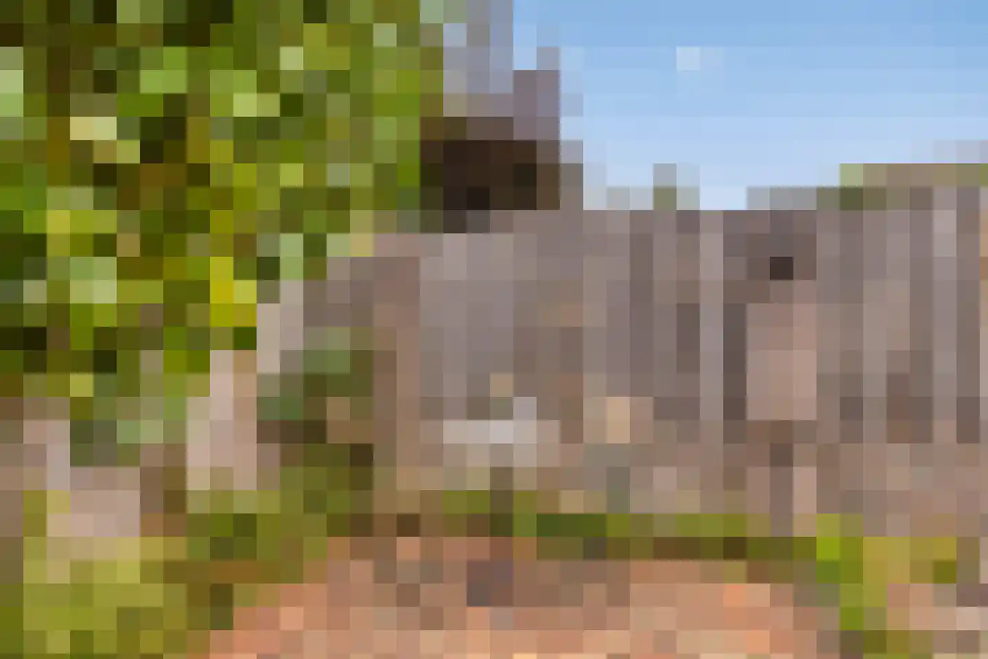 Lange Mees 20 Veldhoven thumbnail 35