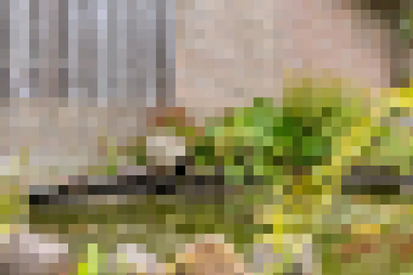 Lange Mees 20 Veldhoven thumbnail 36