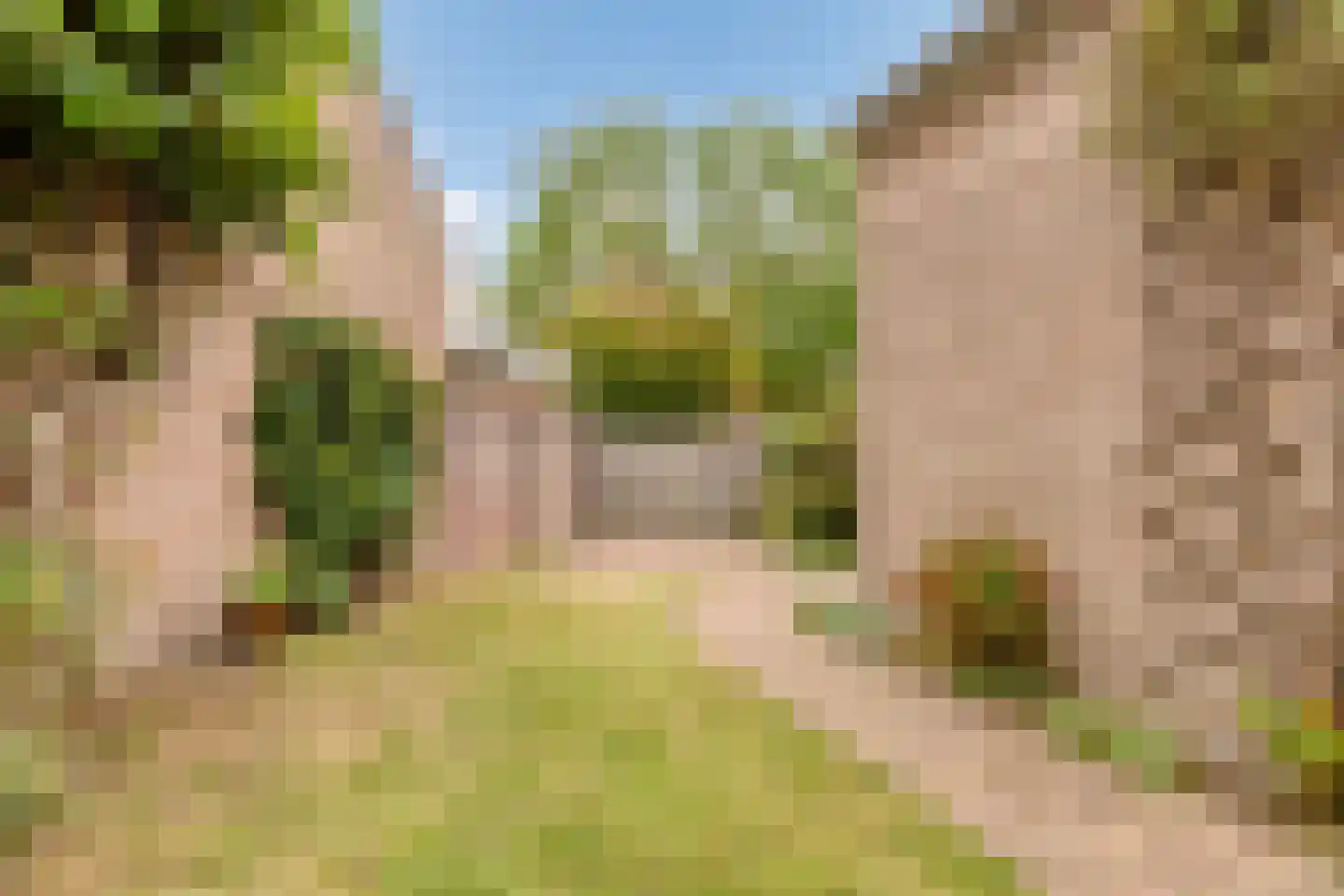 Lange Mees 20 Veldhoven thumbnail 39