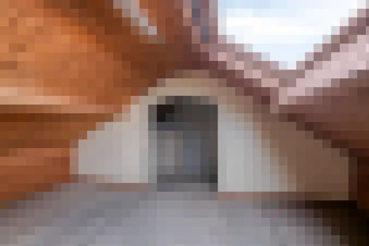 Lange Mees 23 Veldhoven thumbnail 28