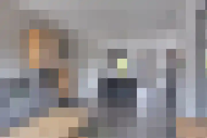 Lange Mees 46 Veldhoven thumbnail 10