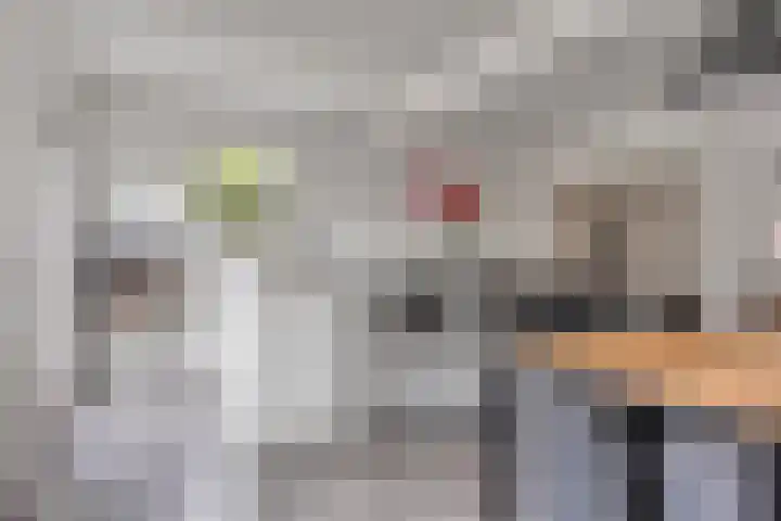 Lange Mees 46 Veldhoven thumbnail 12