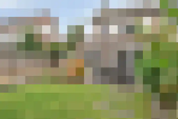 Lange Mees 46 Veldhoven thumbnail 29