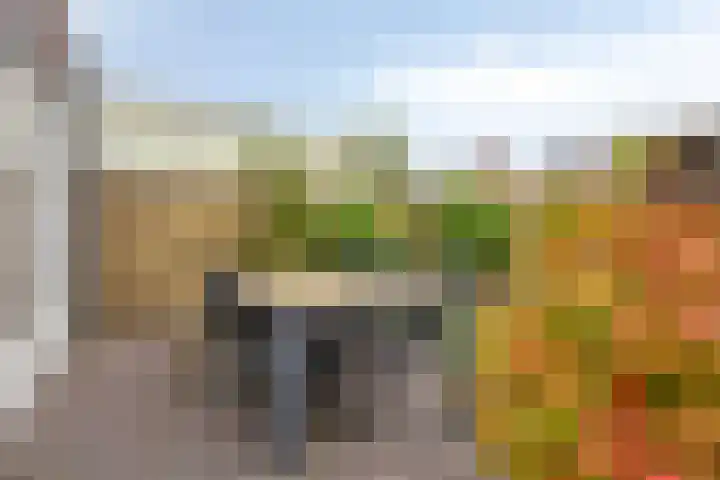 Lange Mees 46 Veldhoven thumbnail 30