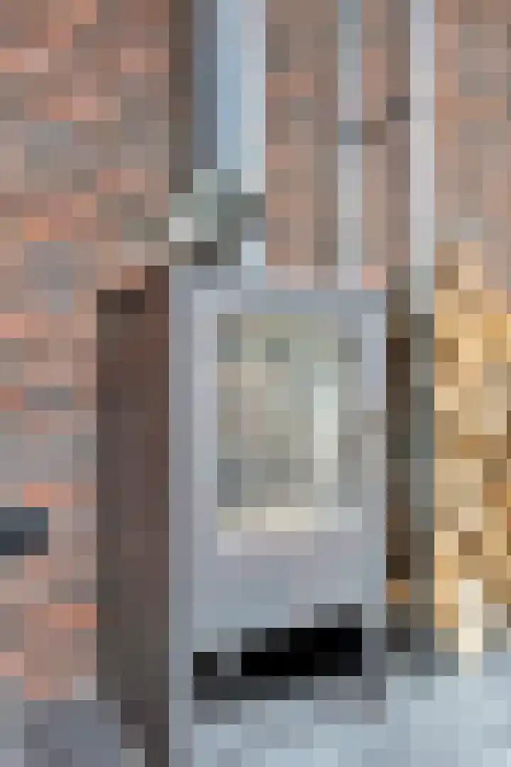 Lange Mees 46 Veldhoven thumbnail 34