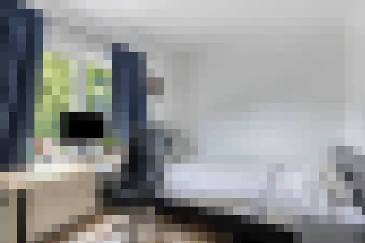 Lange Mees 7 Veldhoven thumbnail 12
