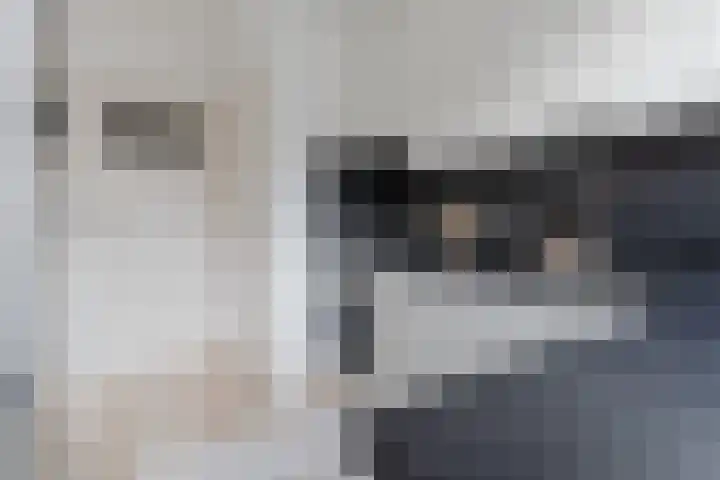 Lange Mees 89 Veldhoven thumbnail 8