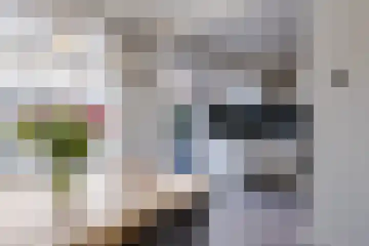 Lange Mees 99 Veldhoven thumbnail 10