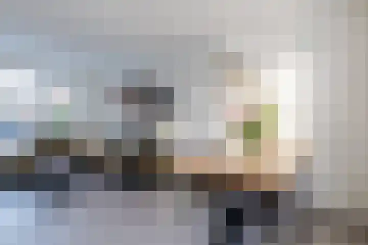 Lange Mees 99 Veldhoven thumbnail 11
