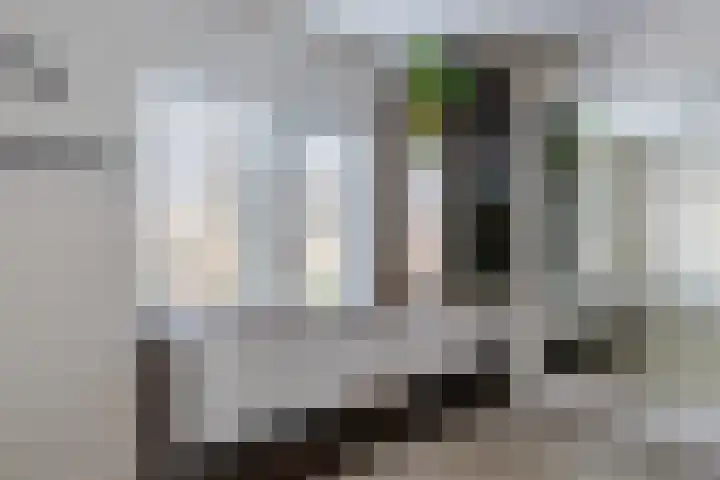 Lange Mees 99 Veldhoven thumbnail 18