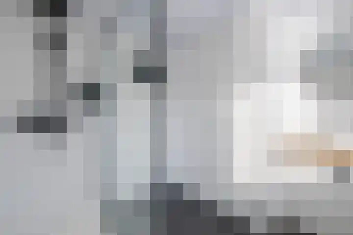 Lange Mees 99 Veldhoven thumbnail 4