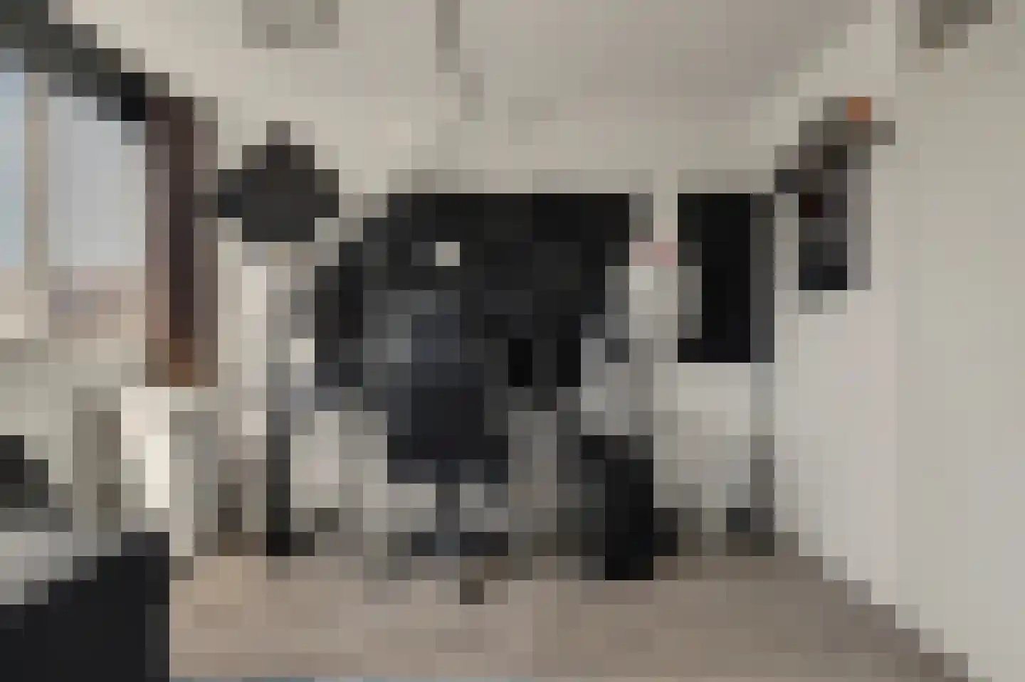 Lange Meet 16 Strijen thumbnail 23