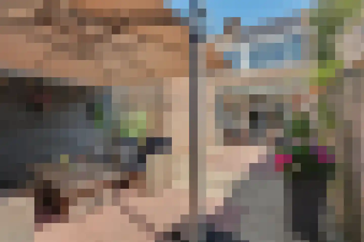 Lange Meet 16 Strijen thumbnail 29