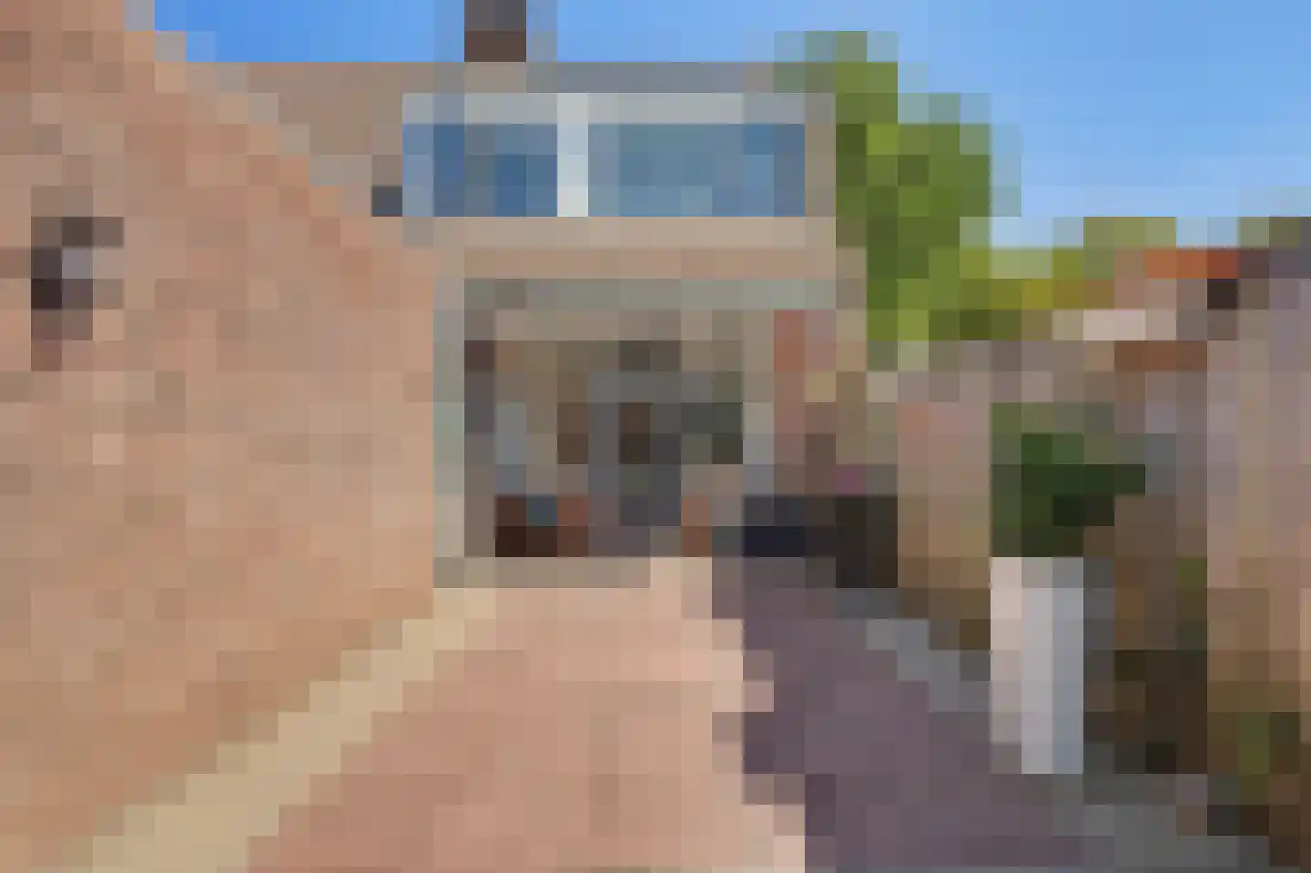 Lange Meet 16 Strijen thumbnail 32