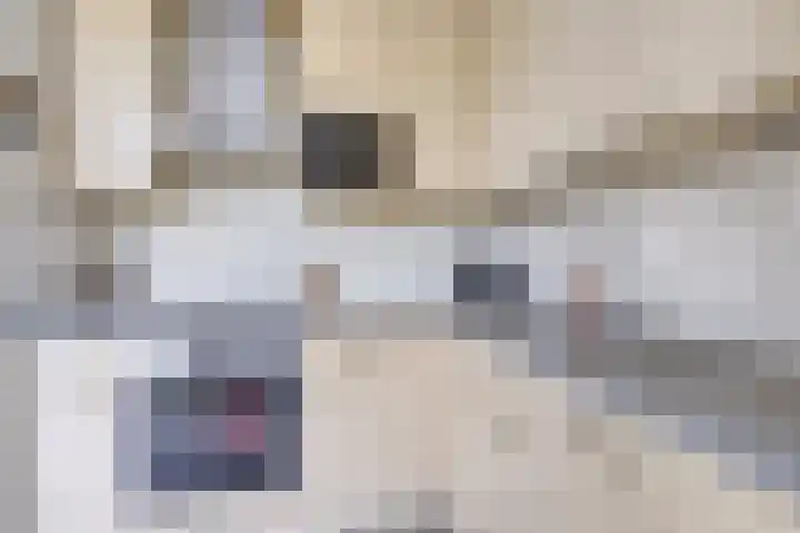 Lange Meet 46 Strijen thumbnail 14