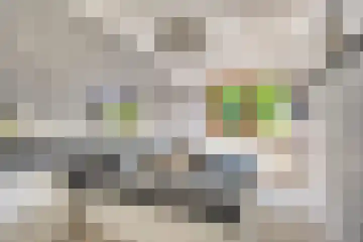 Lange Meet 46 Strijen thumbnail 17