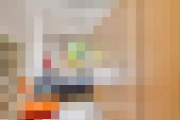 Lange Meet 46 Strijen thumbnail 19