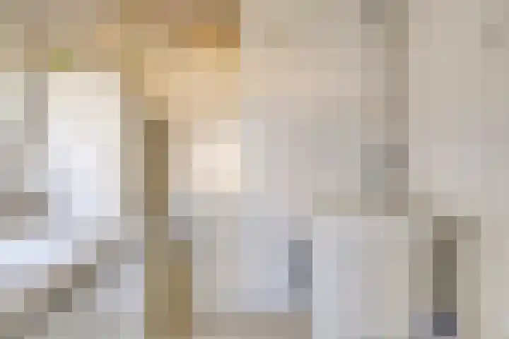 Lange Meet 46 Strijen thumbnail 23