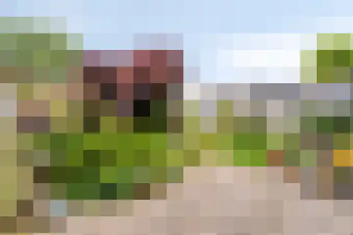 Lange Meet 46 Strijen thumbnail 27