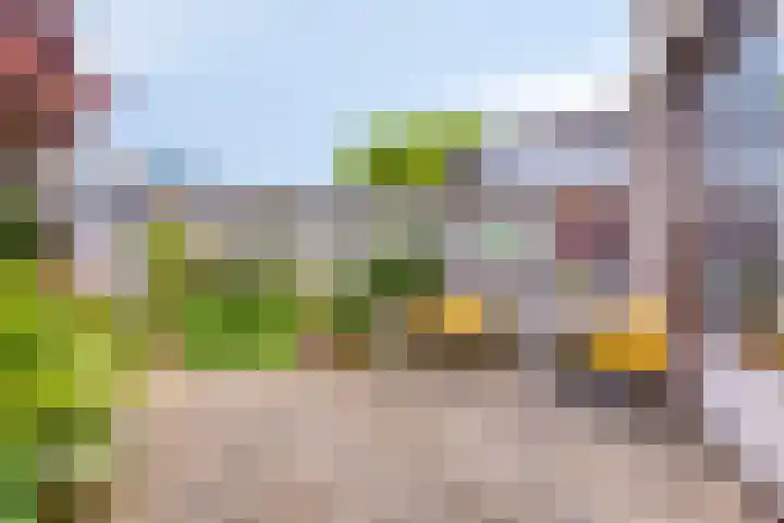 Lange Meet 46 Strijen thumbnail 28
