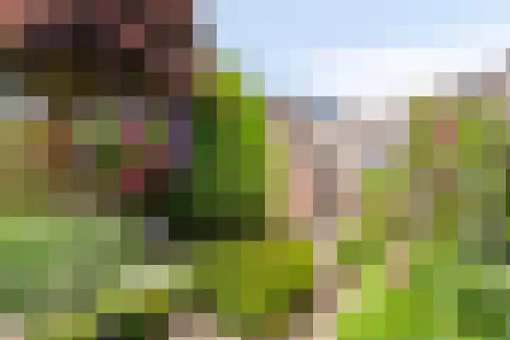 Lange Meet 46 Strijen thumbnail 29