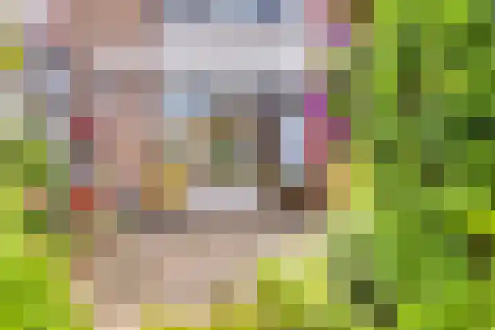 Lange Meet 46 Strijen thumbnail 30