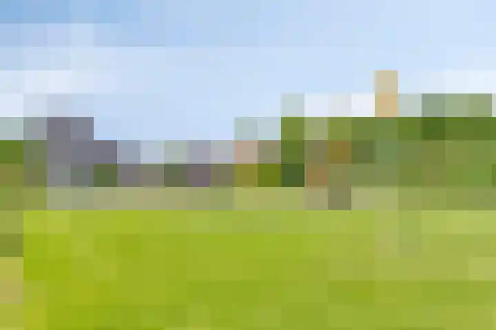 Lange Meet 46 Strijen thumbnail 31