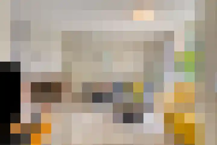 Lange Meet 46 Strijen thumbnail 7
