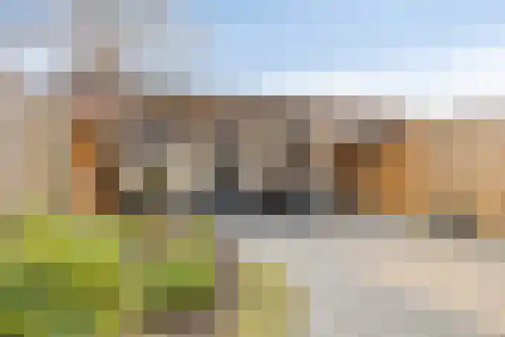 Lange Meten 6 Nieuw-Vossemeer foto 3