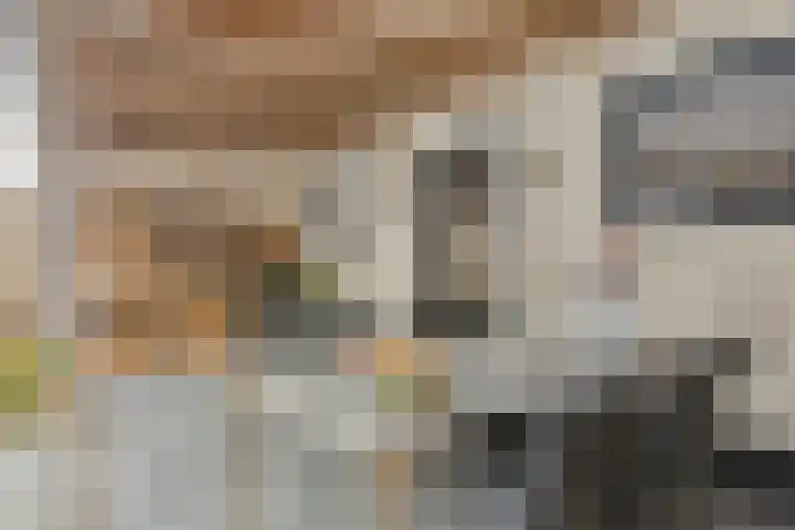 Lange Meten 6 Nieuw-Vossemeer thumbnail 36