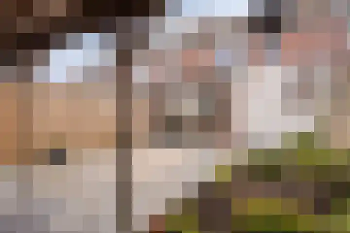Lange Meten 6 Nieuw-Vossemeer thumbnail 37
